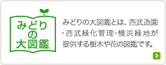 みどりの大図鑑：みどりの大図鑑とは、西武造園・西武緑化管理・横浜緑地が提供する樹木や花の図鑑です。