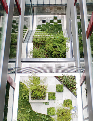 施工事例写真：京都市産業技術研究所・KRP9号館複合棟（屋内緑化、屋上緑化、エントランス・外構緑化）