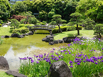日本庭園「見浜園」の写真