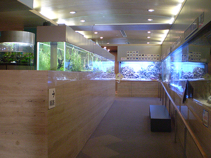 ミニ水族館の写真