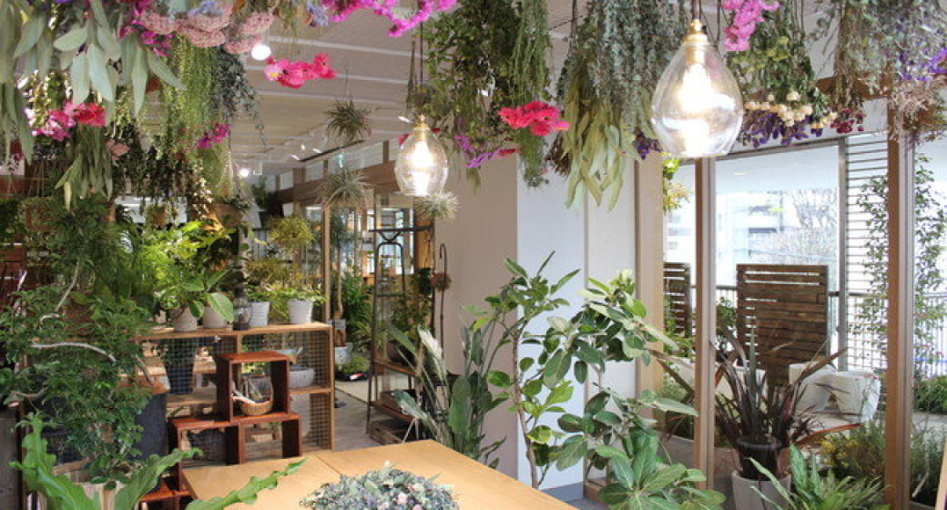 hale-hana plants+