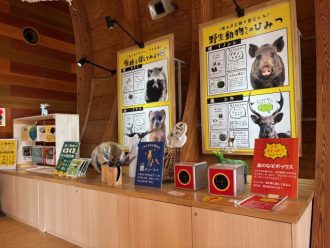 公園だより最新投稿写真