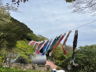 公園だより最新投稿写真