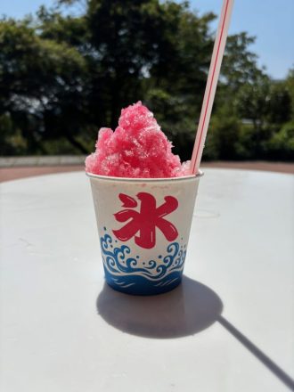 公園だより最新投稿写真