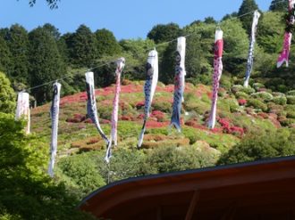 公園だより最新投稿写真