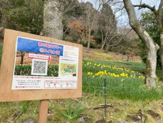 公園だより最新投稿写真