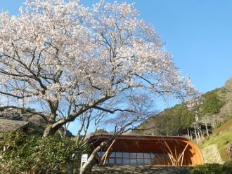 公園だより最新投稿写真