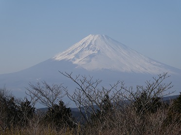 公園だより 熱海市 姫の沢公園