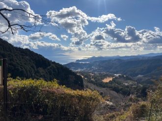 公園だより最新投稿写真