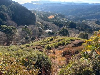 公園だより最新投稿写真