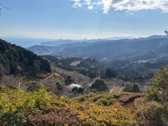 公園だより最新投稿写真