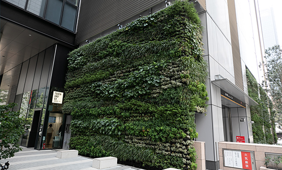 壁面緑化・屋上緑化・屋内緑化などの特殊空間の緑化