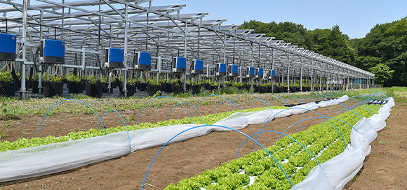 西武アグリパーク所沢（所沢北岩岡太陽光発電所）の写真