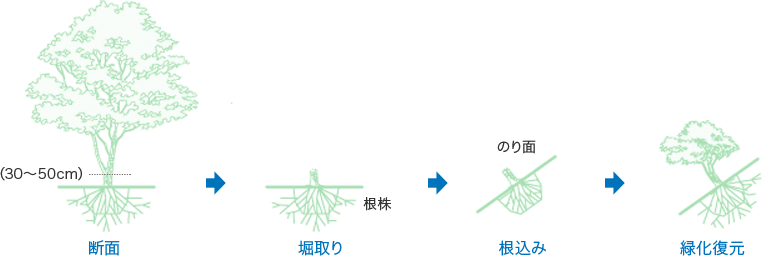 根株植栽の方法概念図