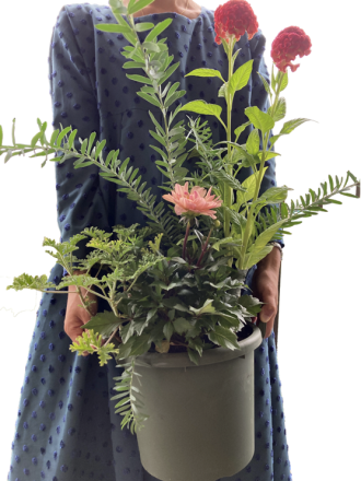 主催イベント:花と緑の講座 12月 (12/13まで受付中)の画像