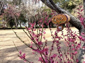 公園だより最新投稿写真