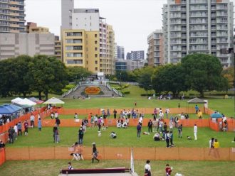 主催イベント：ドッグラン in 幕張海浜公園 2025秋の画像