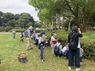 主催イベント：🍀初夏の生き物観察会🍀楽しく身近な虫を見つけよう！！　　　　　　　　　　　　　　　　　　　　　　　　　　　　　　の画像