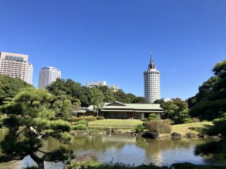 公園だより最新投稿写真