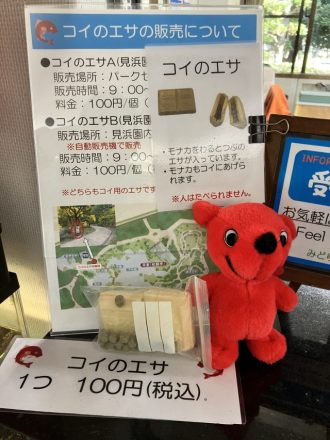 公園だより最新投稿写真
