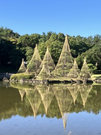 公園だより最新投稿写真
