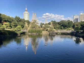 公園だより最新投稿写真