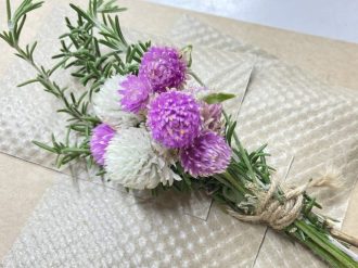 主催イベント：センニチコウつみとり体験の画像