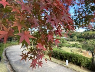 公園だより最新投稿写真