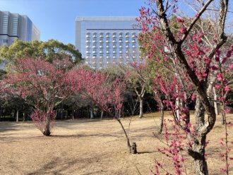 公園だより最新投稿写真