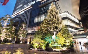 東京ガーデンテラス紀尾井町 KIOI WINTER FOREST 2021