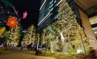 東京ガーデンテラス紀尾井町 KIOI Forest TREE