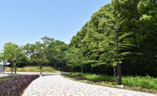 東京都立練馬城址公園