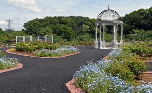 町田市 野津田公園 ばら広場