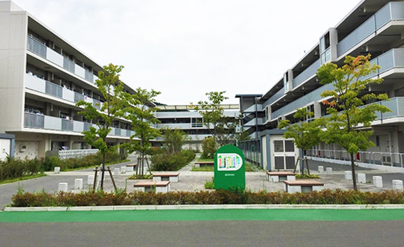 女川町営運動公園住宅 実績 事例 西武造園株式会社 女川町営運動公園住宅 実績 事例 西武造園株式会社