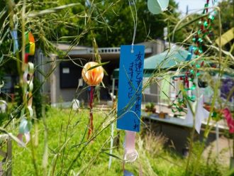 主催イベント：みさと公園七夕かざり 2026の画像
