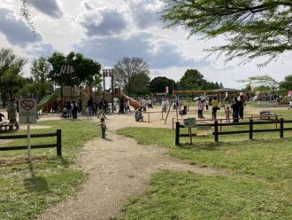 公園だより最新投稿写真