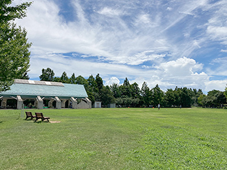 公園の写真