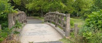公園だより最新投稿写真