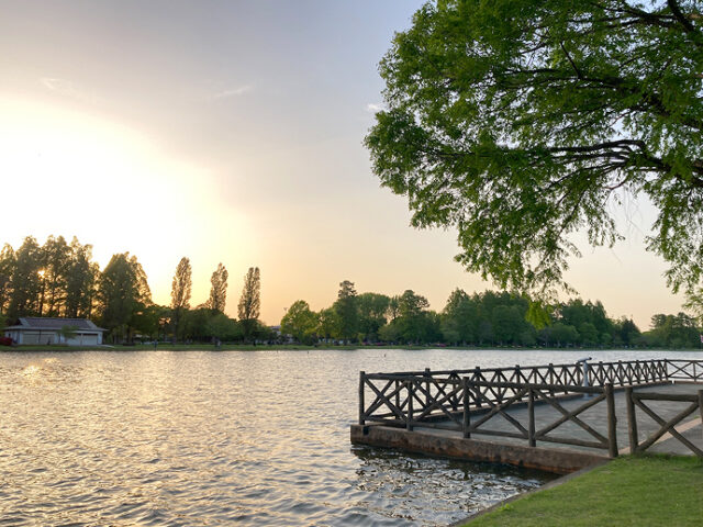 水上テラスの写真
