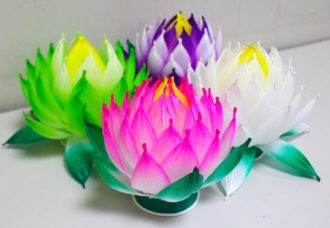 主催イベント：ハス祭りイベント「蓮ランタン制作」の画像