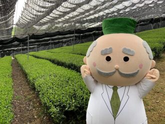 主催イベント：おちゃはかせの日本茶講座開催の画像