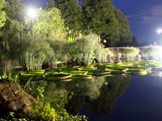 公園だより最新投稿写真