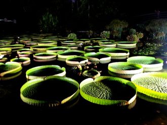 公園だより最新投稿写真