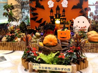 公園だより最新投稿写真