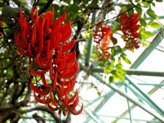公園だより最新投稿写真