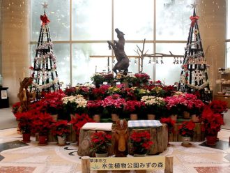 主催イベント:12月イベント情報の画像