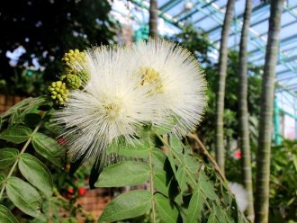 公園だより最新投稿写真