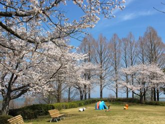 公園だより最新投稿写真