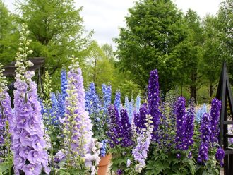 公園だより最新投稿写真
