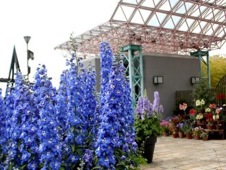 公園だより最新投稿写真